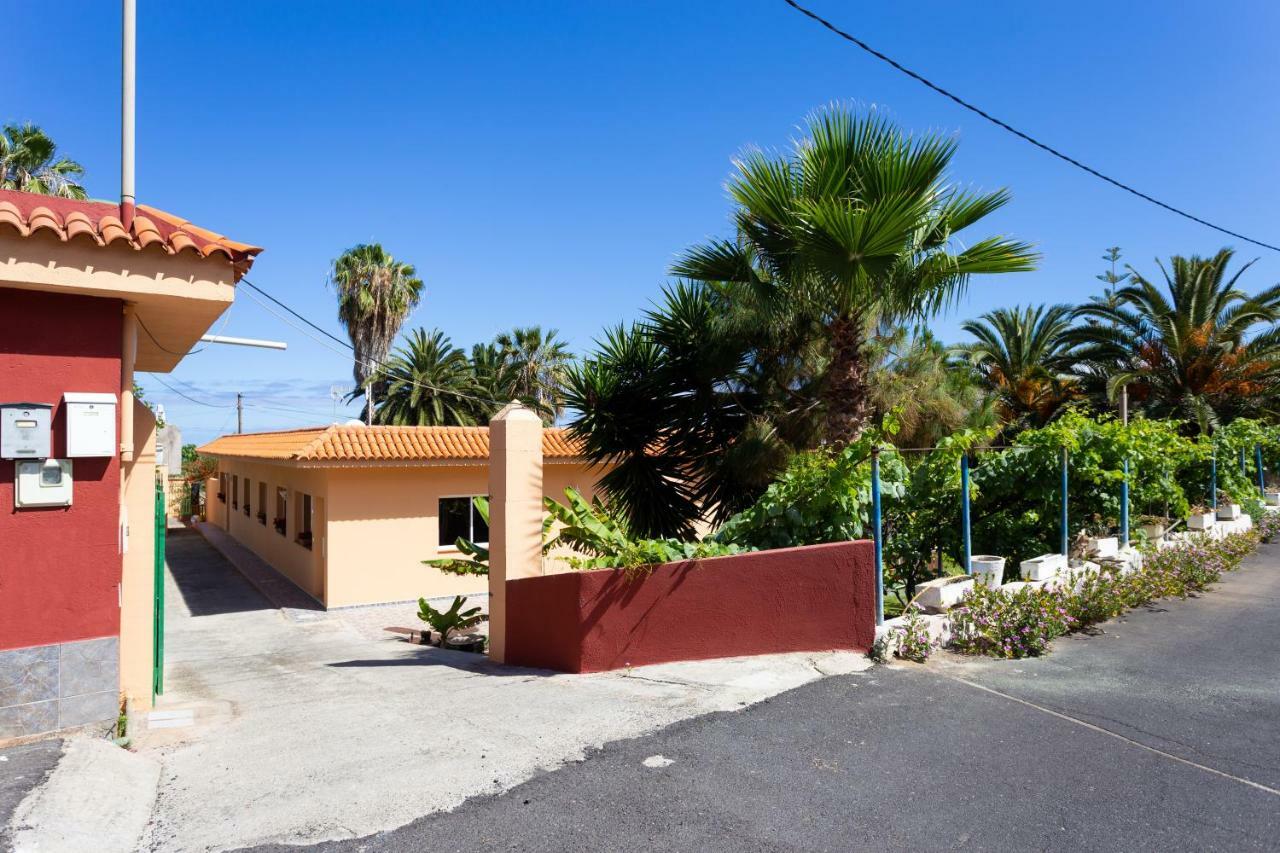 Finca La Gaviota - Las Palmeras Icod De Los Vinos Esterno foto