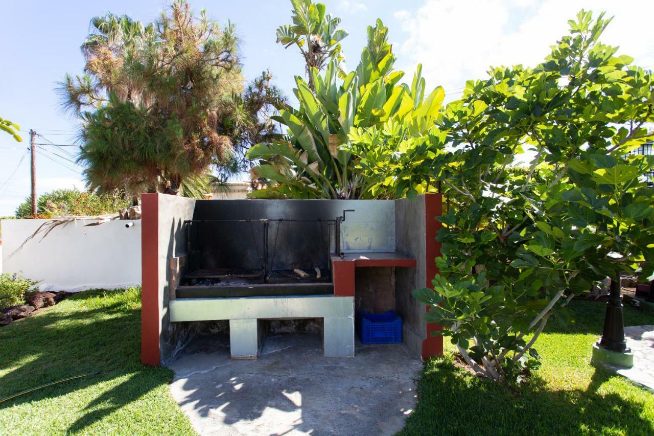 Finca La Gaviota - Las Palmeras Icod De Los Vinos Esterno foto