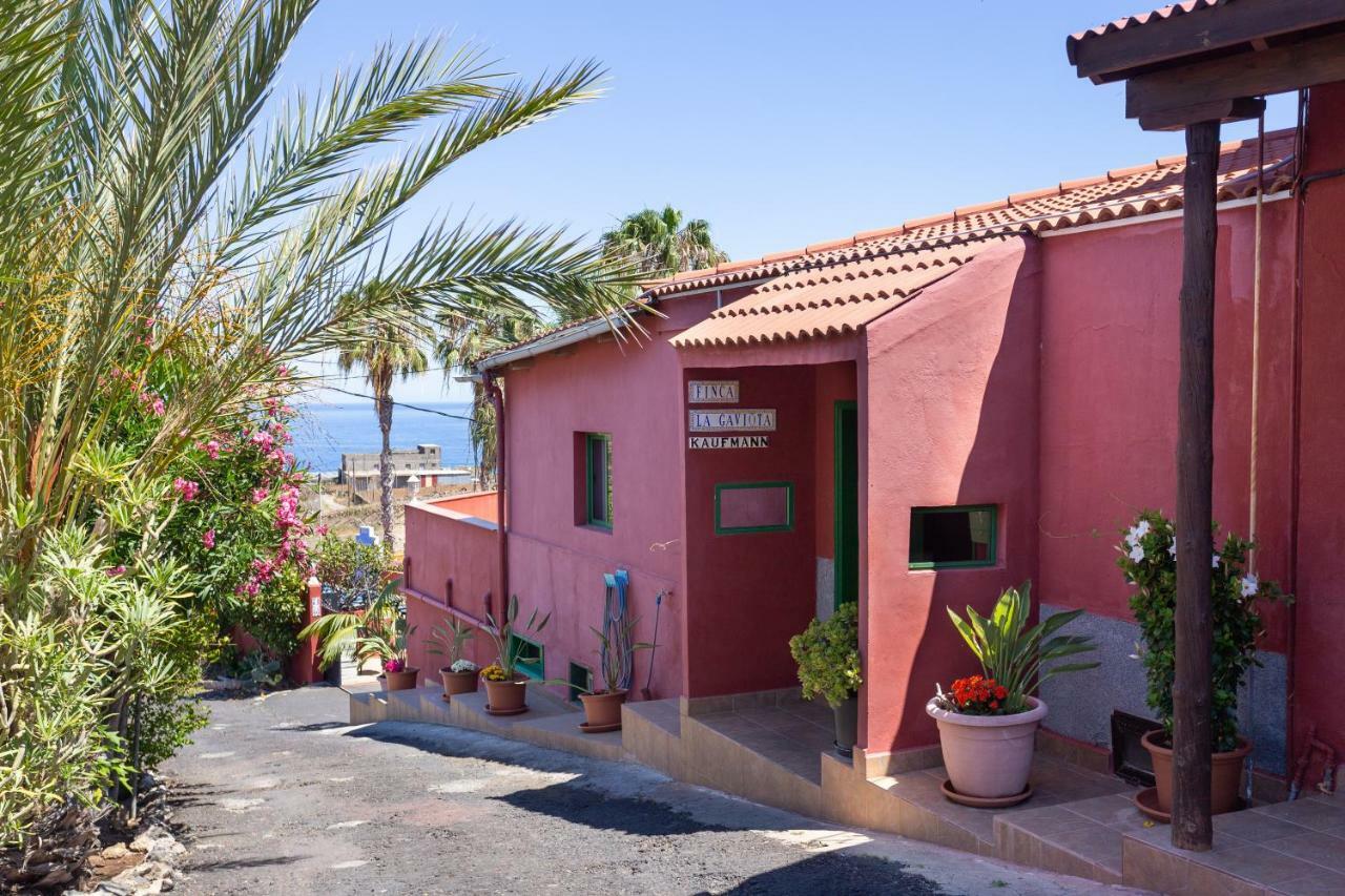 Finca La Gaviota - Las Palmeras Icod De Los Vinos Esterno foto